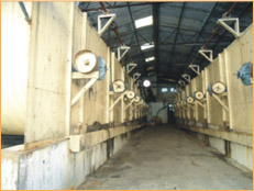 Sugar Plant Machinery