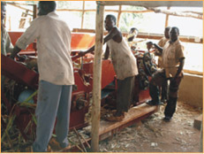 Sugar Plant Machinery