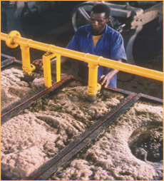 Sugar Plant Machinery